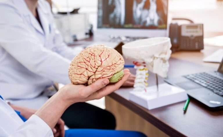 Doctor holding a human brain model for patient consultation – Best Neurology Hospital in Ahmedabad